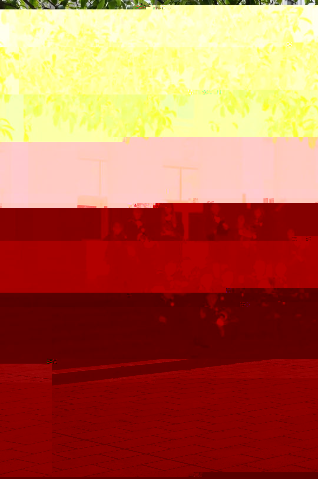 517E4
